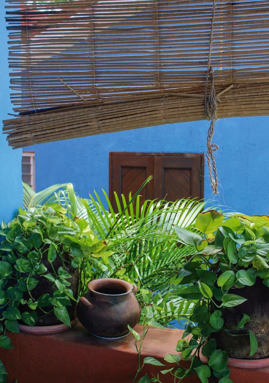 מלון סן אגוסטיניו Casa Azul מראה חיצוני תמונה